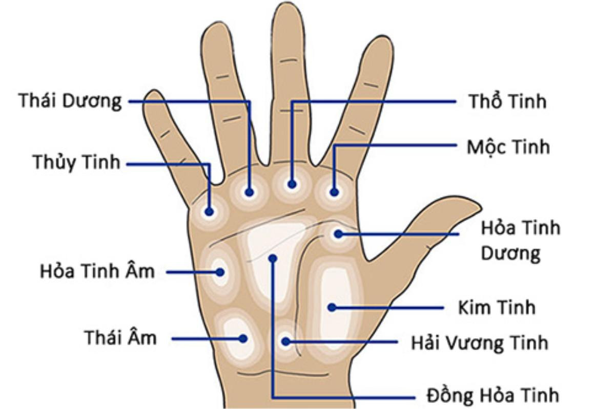 Sở hữu 3 đường chỉ tay này, sự nghiệp sẽ 'phất lên như diều gặp gió' nếu xuất ngoại Ảnh 4