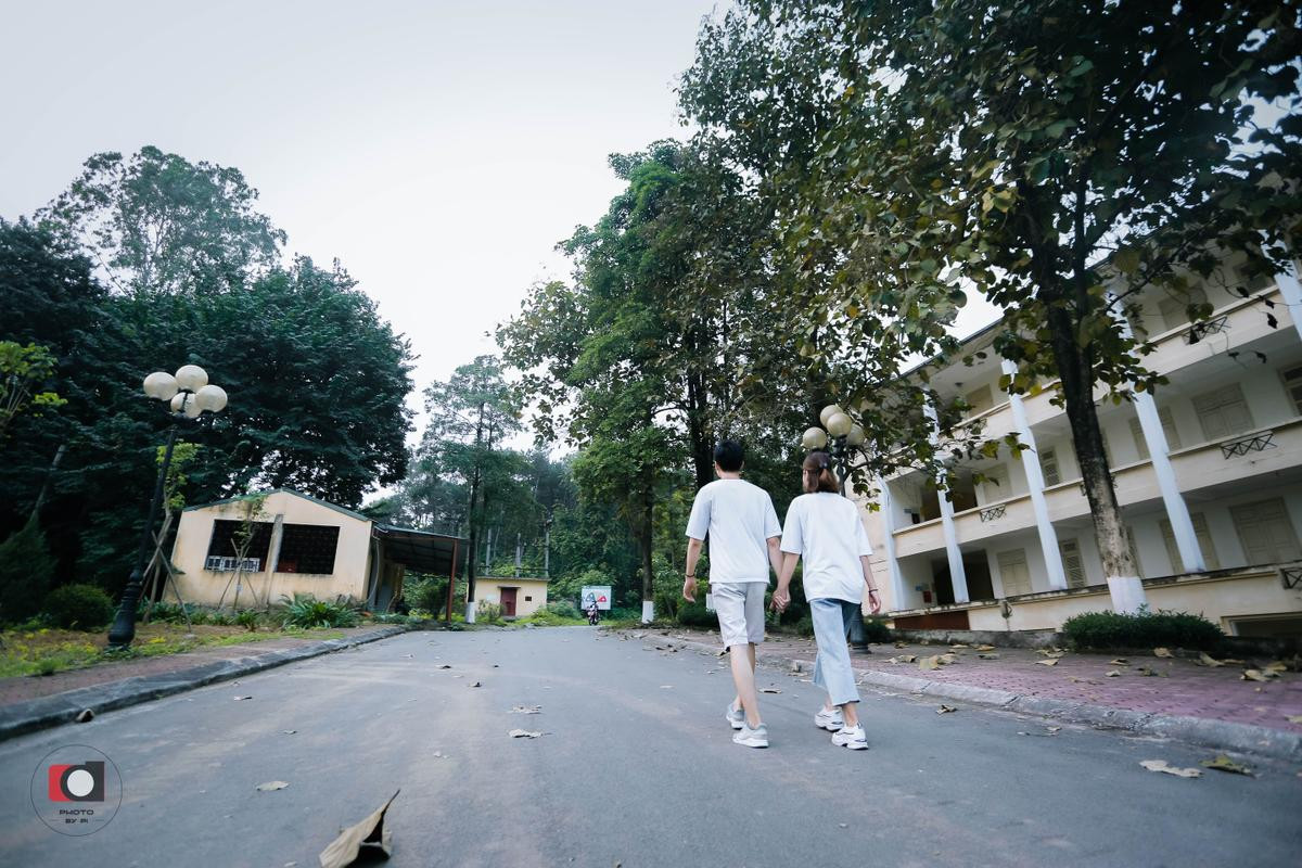 Mùa này ghé ĐH Lâm Nghiệp để ngắm hoa rơi, bướm bay và lạc vào khu rừng xanh um hơn 110 ha phủ kín đường tới giảng đường Ảnh 14