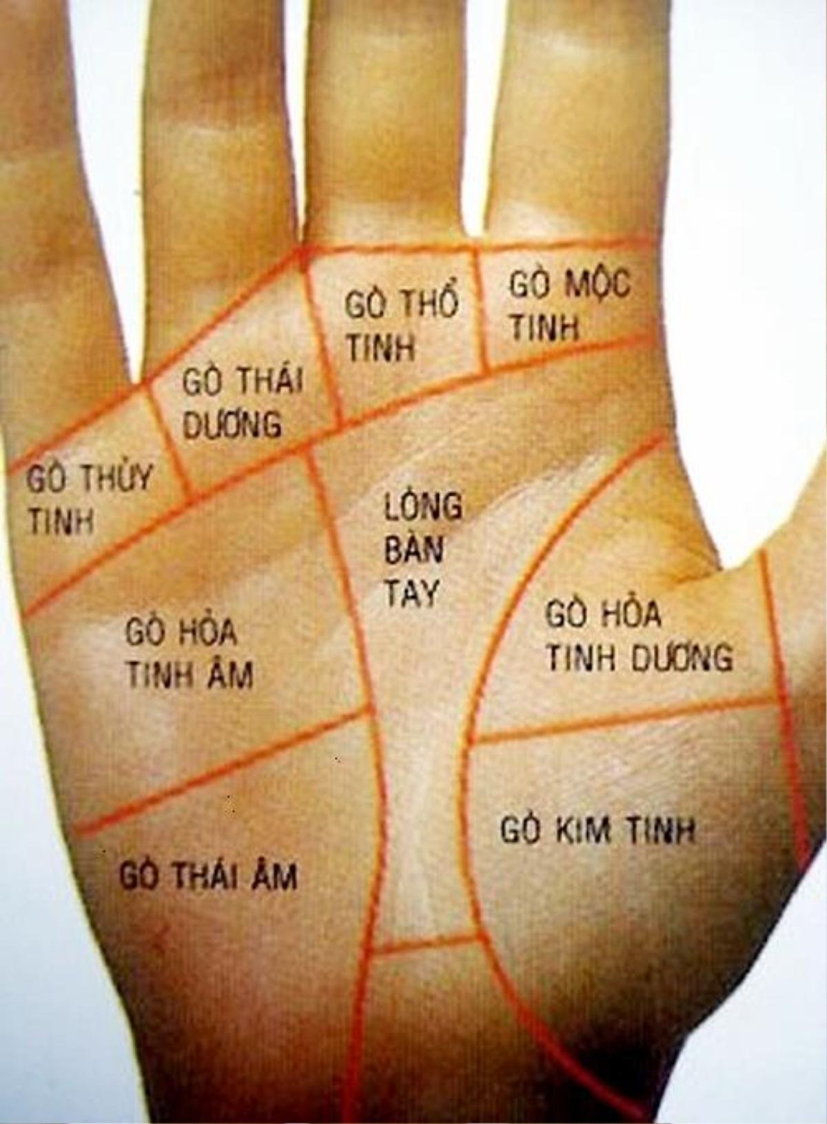 Xem chỉ tay đường công danh, luận ra ngay ai sự nghiệp giàu sang, ai lận đận khốn khó Ảnh 3