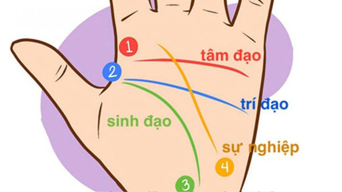 Xem chỉ tay đường công danh, luận ra ngay ai sự nghiệp giàu sang, ai lận đận khốn khó Ảnh 1