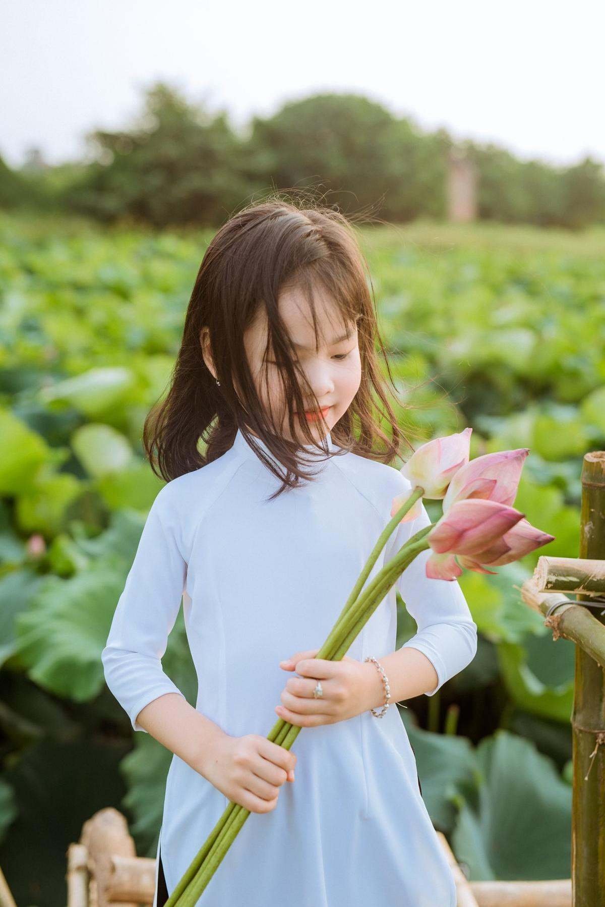 Không cần phản cảm, hở hang - đây chính là những bộ ảnh đẹp nhất trong mùa sen nở năm nay Ảnh 16