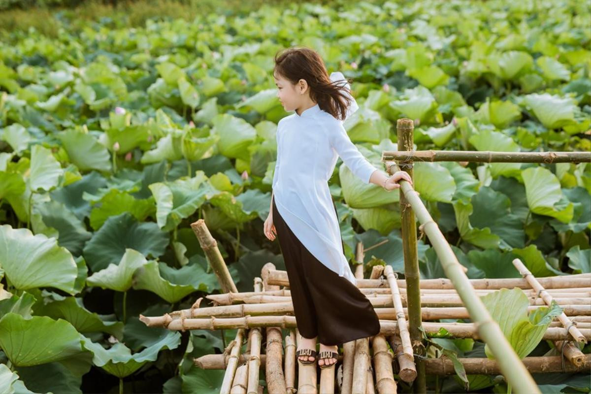 Không cần phản cảm, hở hang - đây chính là những bộ ảnh đẹp nhất trong mùa sen nở năm nay Ảnh 14