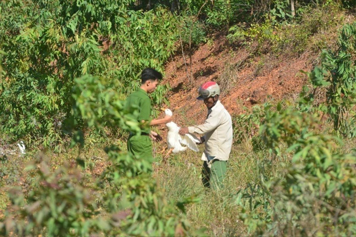 Vụ xe lật giữa đường ở Quảng Bình: Nhiều người 'hôi của' đến chục con vịt, lái xe van xin trong vô vọng Ảnh 4