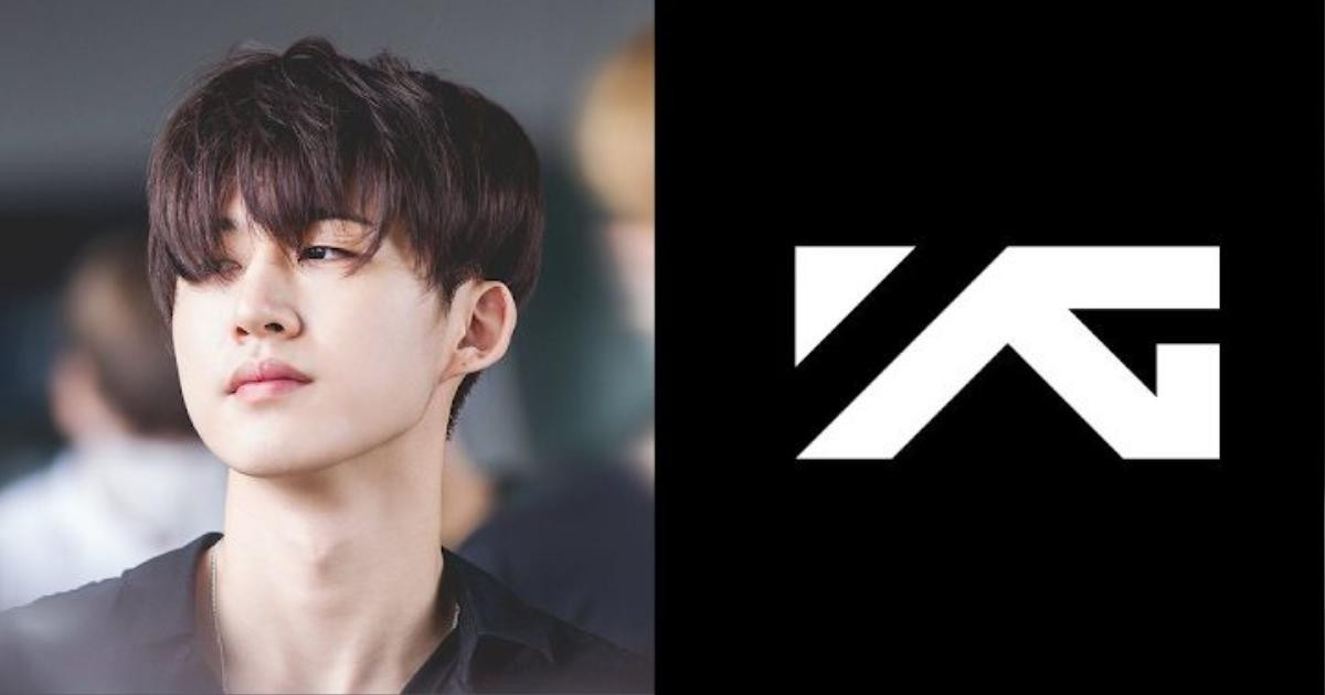 Tái điều tra sự can thiệp của YG Entertainment trong vụ B.I (iKon) dùng chất cấm? Ảnh 1