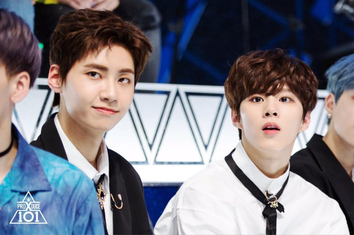 'Produce X 101' tập 7: Kim Woo Seok - Lee Jin Hyuk (UP10TION) thắng lớn, đứng top tìm kiếm ở Hàn Ảnh 5