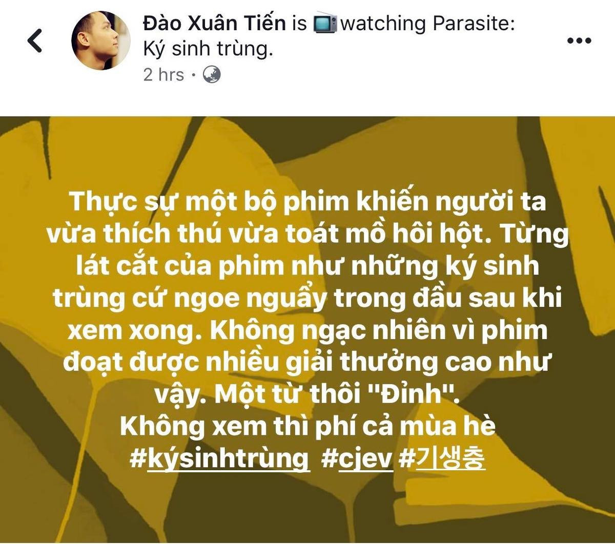 Cư dân mạng giành 'cơn mưa lời khen' cho phim điện ảnh Hàn Quốc 'Parasite - Ký sinh trùng' Ảnh 7