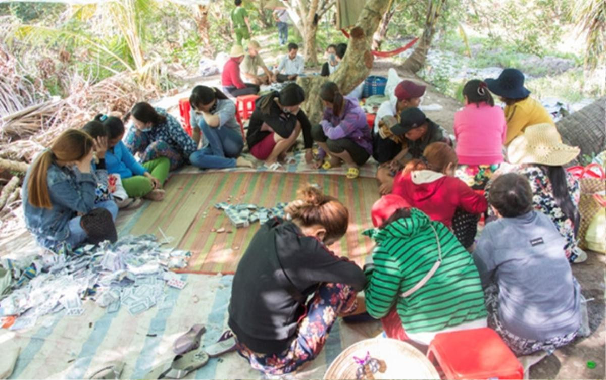 Triệt phá 'sòng bạc quý bà' trong vườn trái cây ở miền Tây, thu giữ trên 220 triệu đồng Ảnh 1