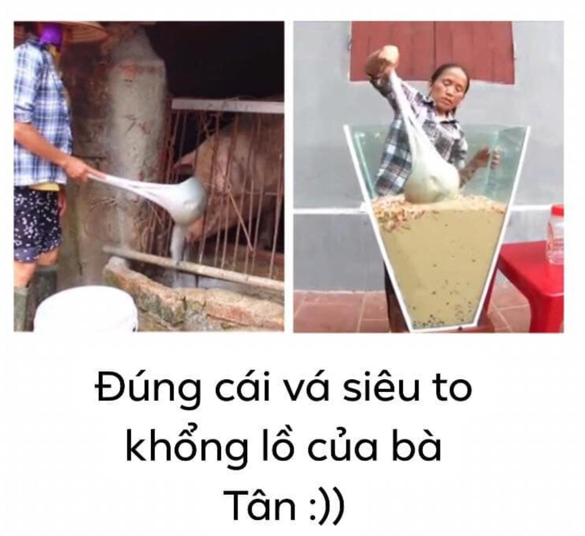 Cộng đồng mạng tranh cãi kịch liệt trước nghi vấn Bà Tân Vlog dùng cùng 1 chiếc vá để cho heo ăn và… khuấy trà sữa Ảnh 1