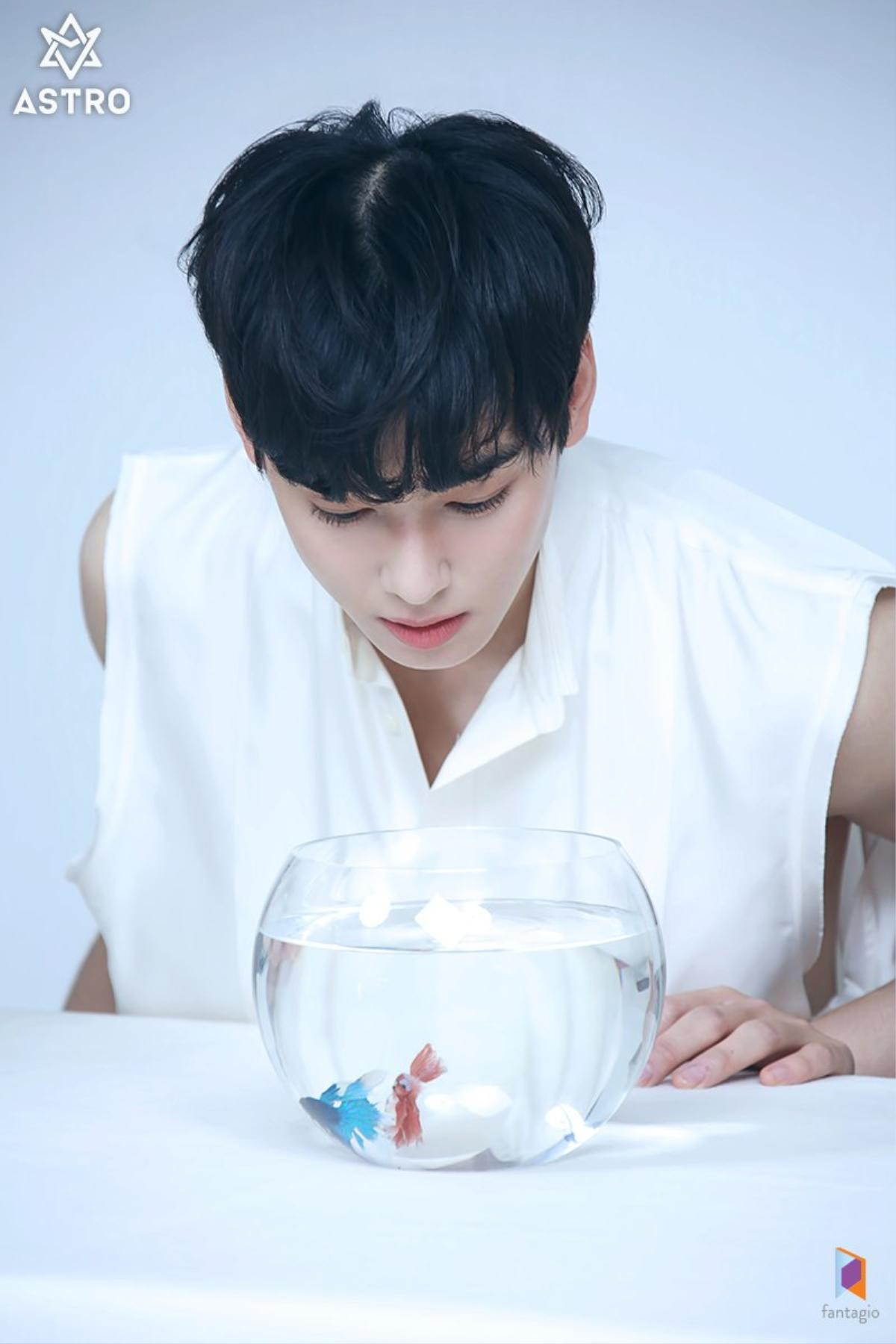 Hoàng tử Cha Eun Woo (ASTRO) quyến rũ, đẹp không góc chết trong ảnh quảng bá phim 'Rookie Historian Goo Hae Ryung' Ảnh 19