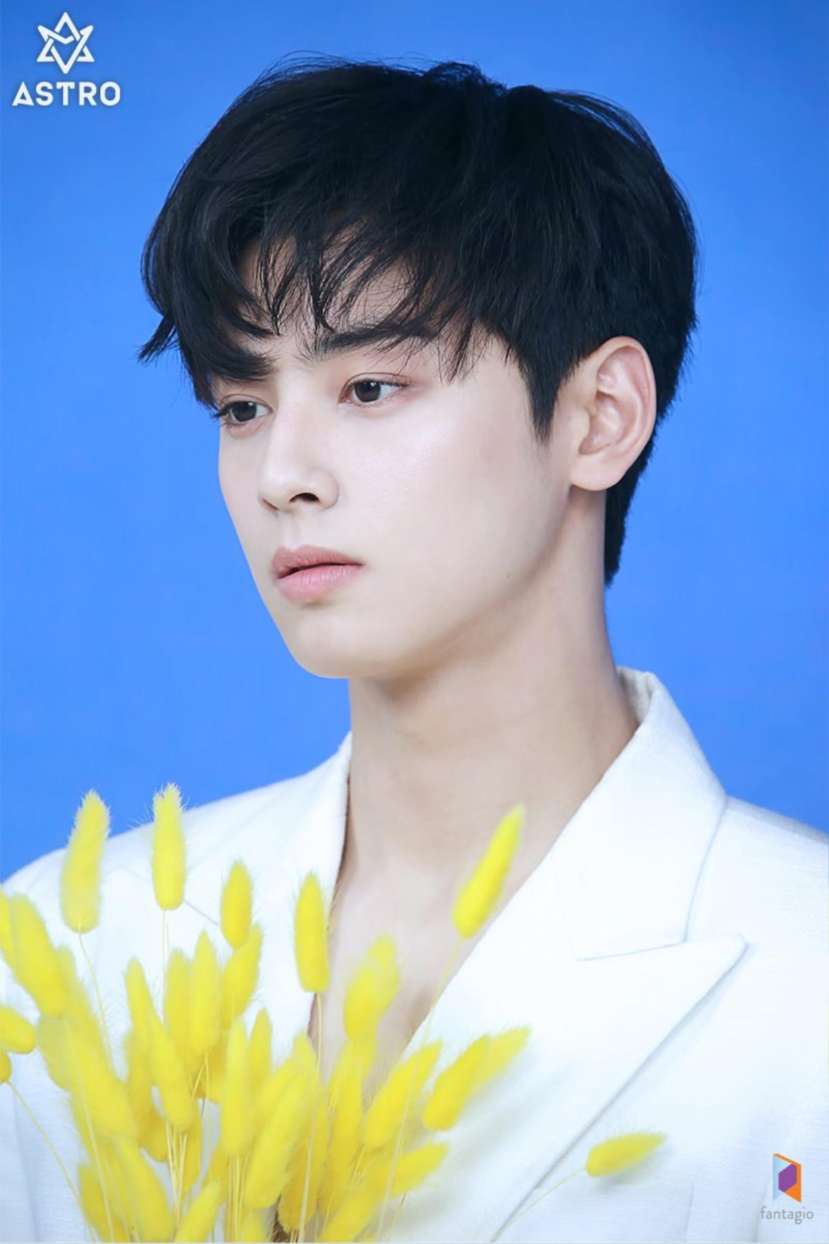 Hoàng tử Cha Eun Woo (ASTRO) quyến rũ, đẹp không góc chết trong ảnh quảng bá phim 'Rookie Historian Goo Hae Ryung' Ảnh 28