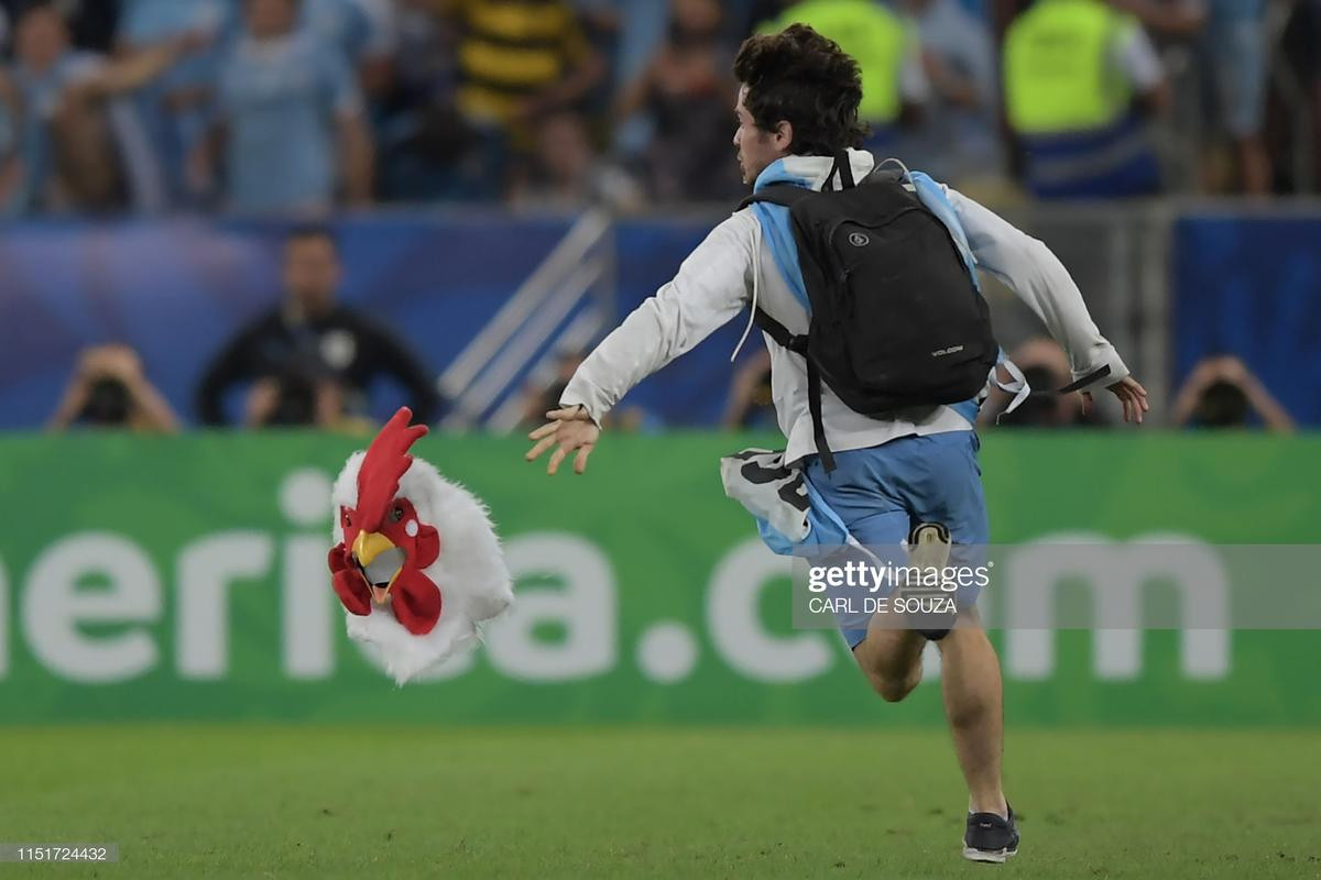 'Người gà' làm loạn trận đấu ở Copa America Ảnh 8