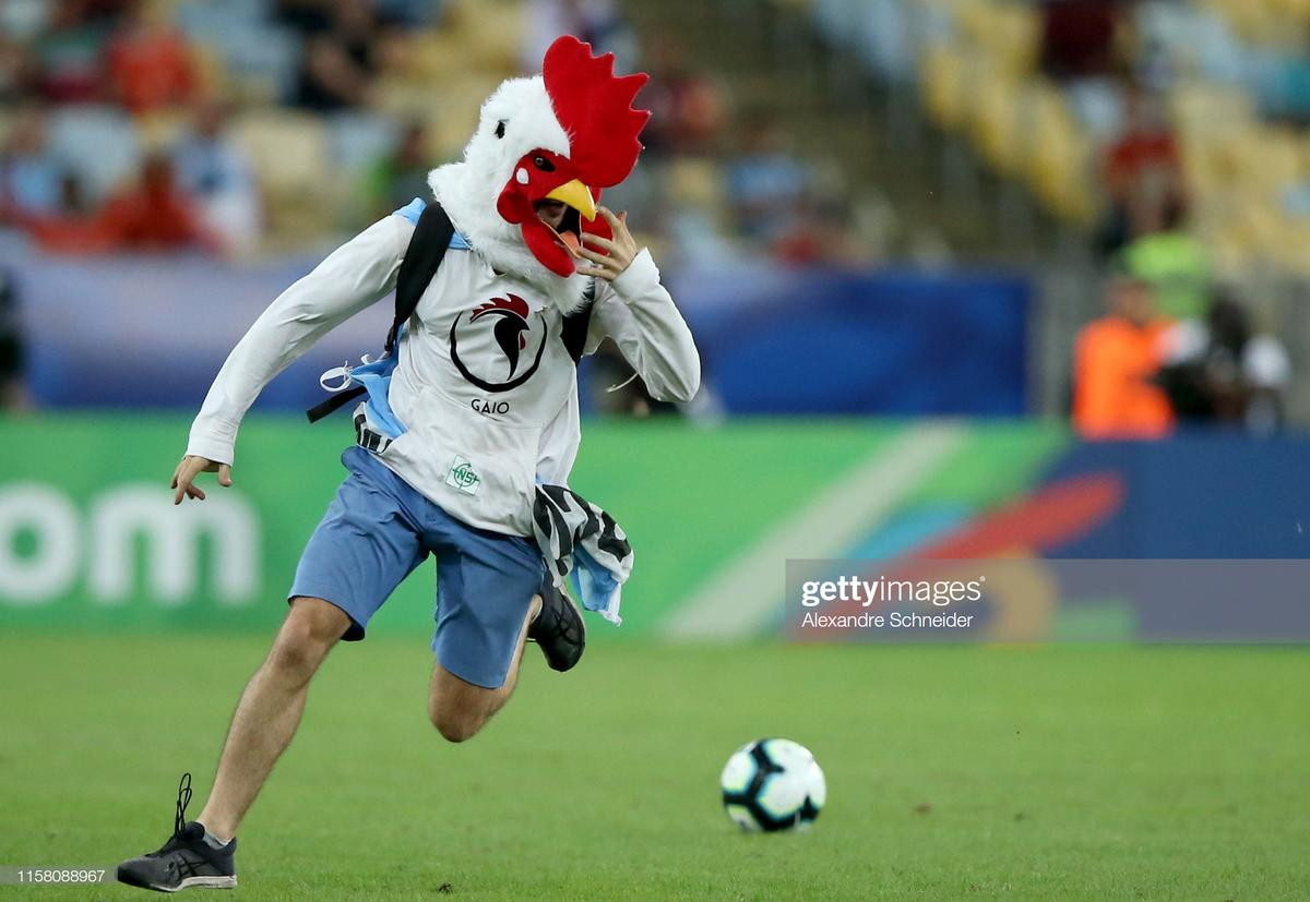 'Người gà' làm loạn trận đấu ở Copa America Ảnh 1