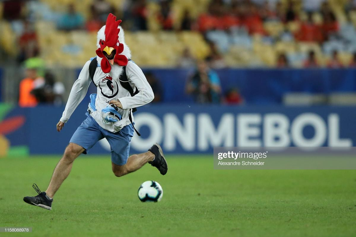 'Người gà' làm loạn trận đấu ở Copa America Ảnh 3