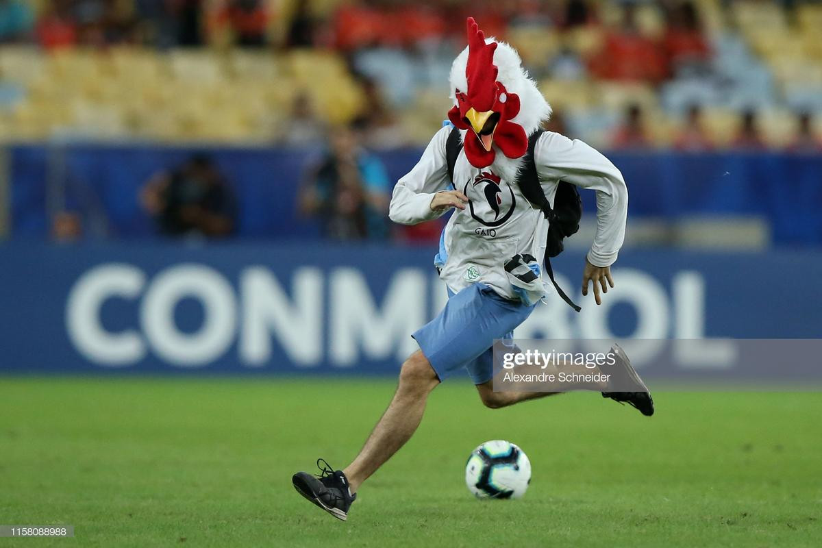 'Người gà' làm loạn trận đấu ở Copa America Ảnh 4