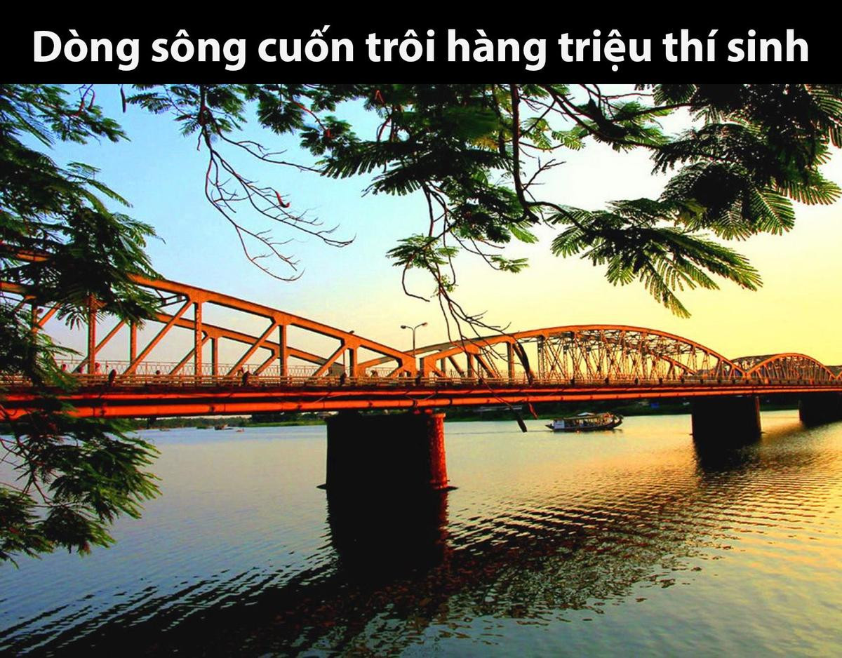 Đen Vâu trở thành cái tên được sĩ tử réo gọi khắp nơi, Hoàng Thuỳ Linh thành 'tội đồ' Ảnh 9