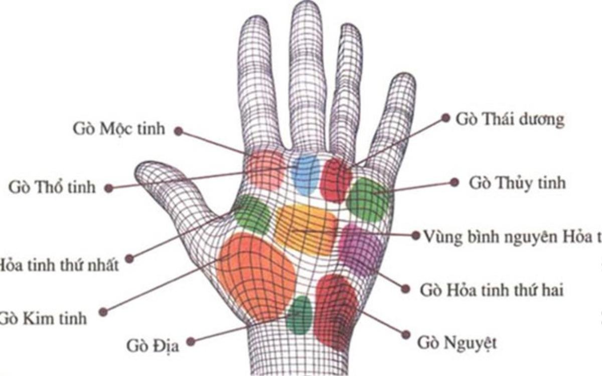 Sở hữu một trong những nốt ruồi phú quý này, không sớm thì muộn ắt cũng giàu ‘nứt đố đổ vách’ Ảnh 4