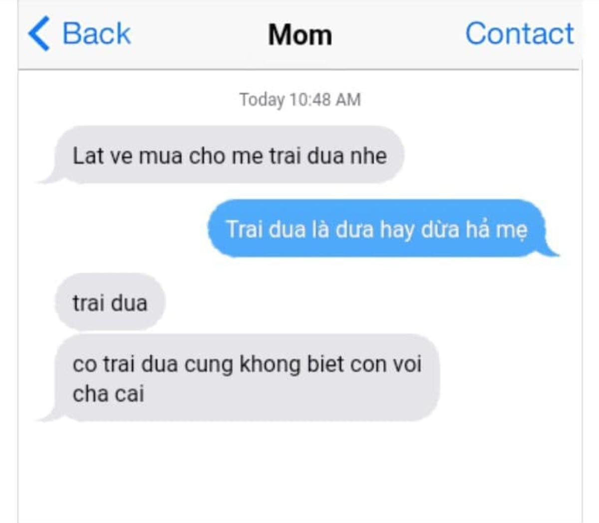 Tranh cãi cực mạnh: Mẹ nhắn tin không dấu nhờ mua 'trai dua', cư dân mạng thi nhau đoán là 'Dứa, Dưa hay Dừa'? Ảnh 1