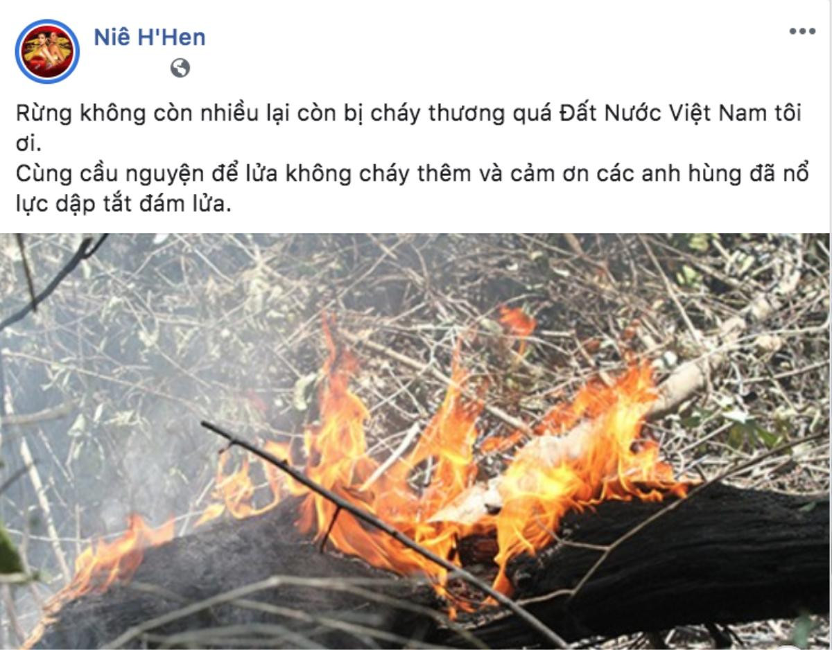 Nghệ sĩ Việt đồng loạt chia sẻ hình ảnh cháy rừng ở Hà Tĩnh, cầu mong người dân sớm vượt qua Ảnh 2