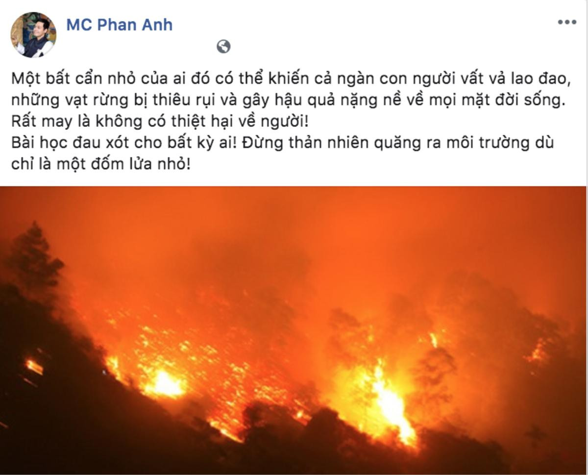 Nghệ sĩ Việt đồng loạt chia sẻ hình ảnh cháy rừng ở Hà Tĩnh, cầu mong người dân sớm vượt qua Ảnh 5