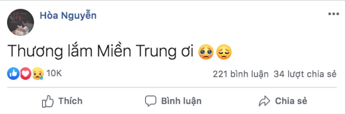 Nghệ sĩ Việt đồng loạt chia sẻ hình ảnh cháy rừng ở Hà Tĩnh, cầu mong người dân sớm vượt qua Ảnh 17