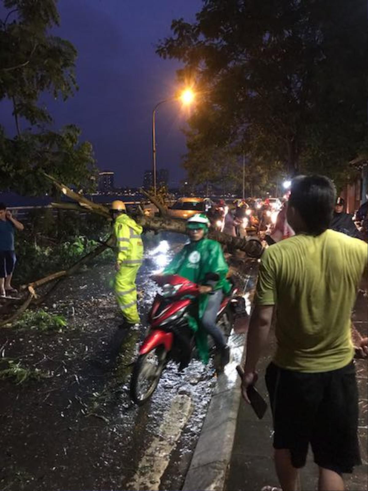 Cây phượng bất ngờ đổ giữa mưa gió lớn ở hồ Tây, người đàn ông nhập viện cấp cứu Ảnh 3