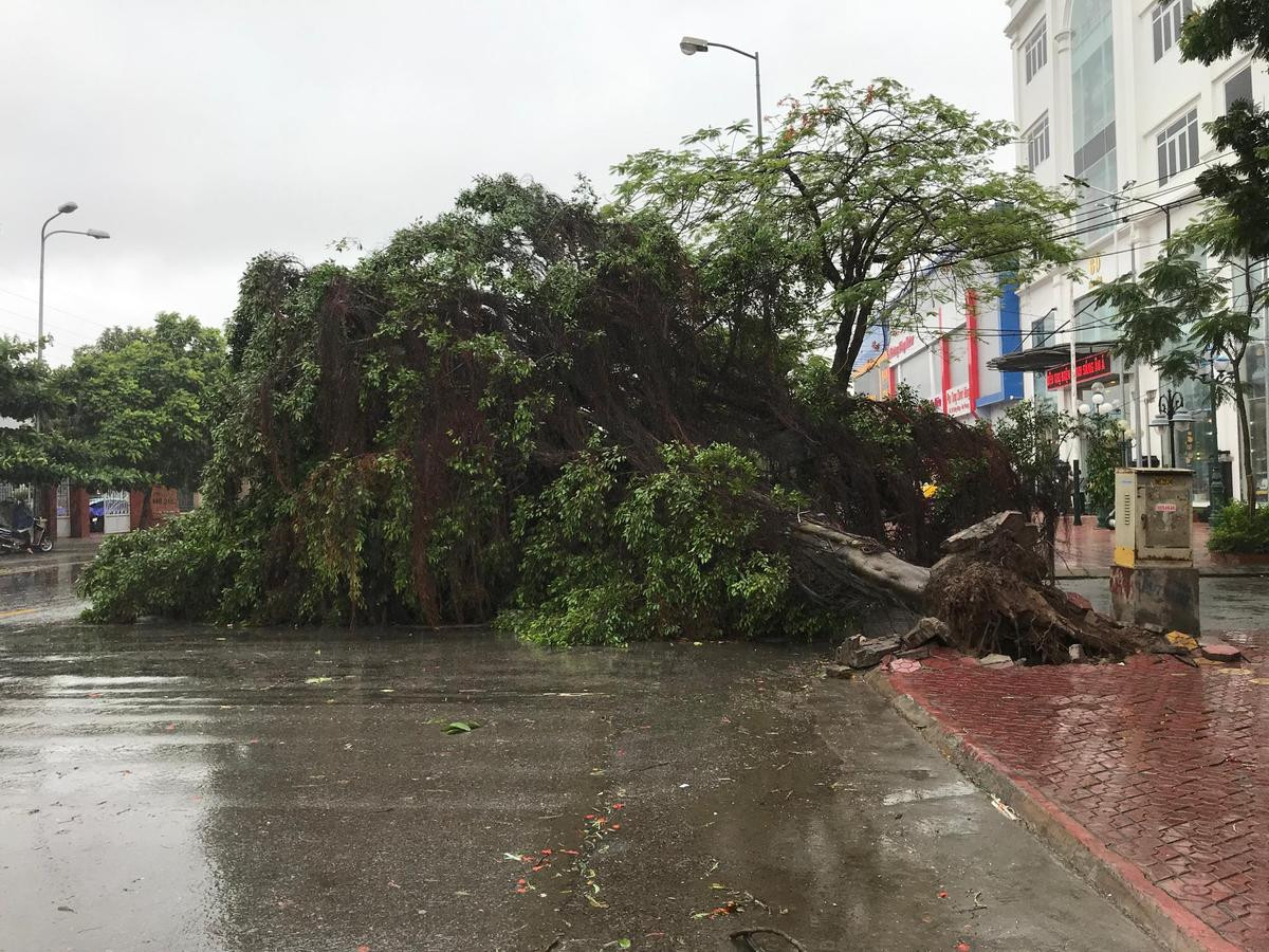 Bão số 2 đổ bộ vào Hải Phòng: Sân bay, cảng biển ngưng hoạt động chờ bão tan Ảnh 4