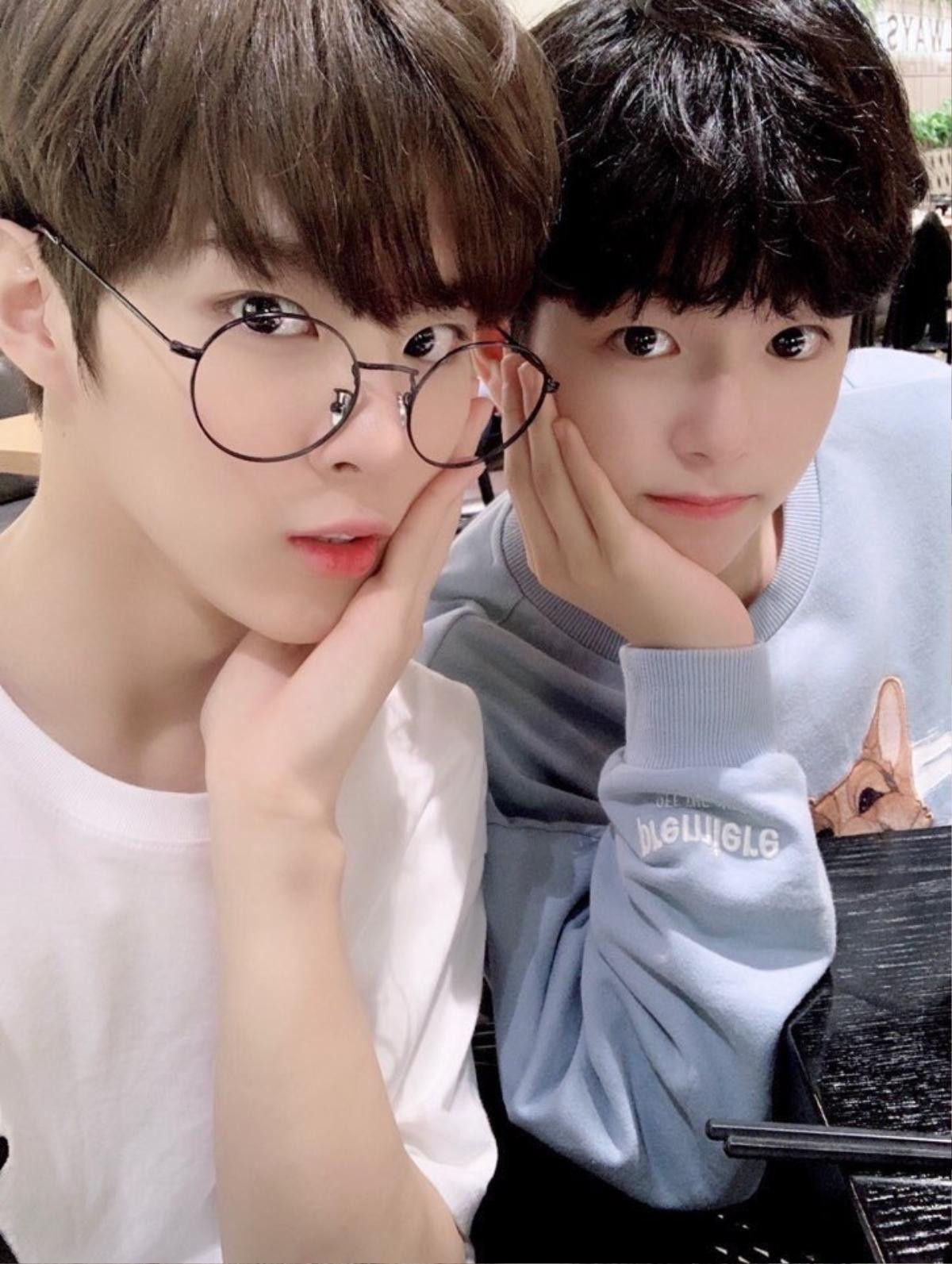 'Produce X 101': Bắt gặp Kim Woo Seok - Lee Jin Woo 'hò hẹn' riêng tư, tiết lộ sơ đồ gia đình siêu đáng yêu Ảnh 2