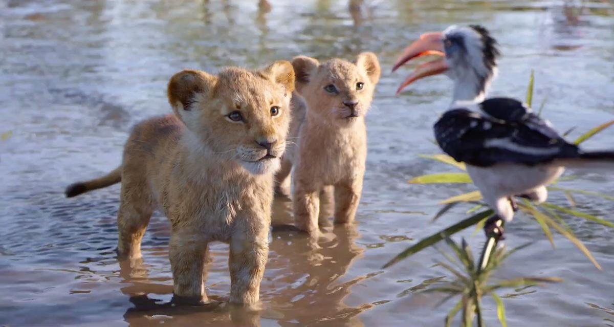 'The Lion King': Bom tấn mùa hè được trông đợi bậc nhất Ảnh 6