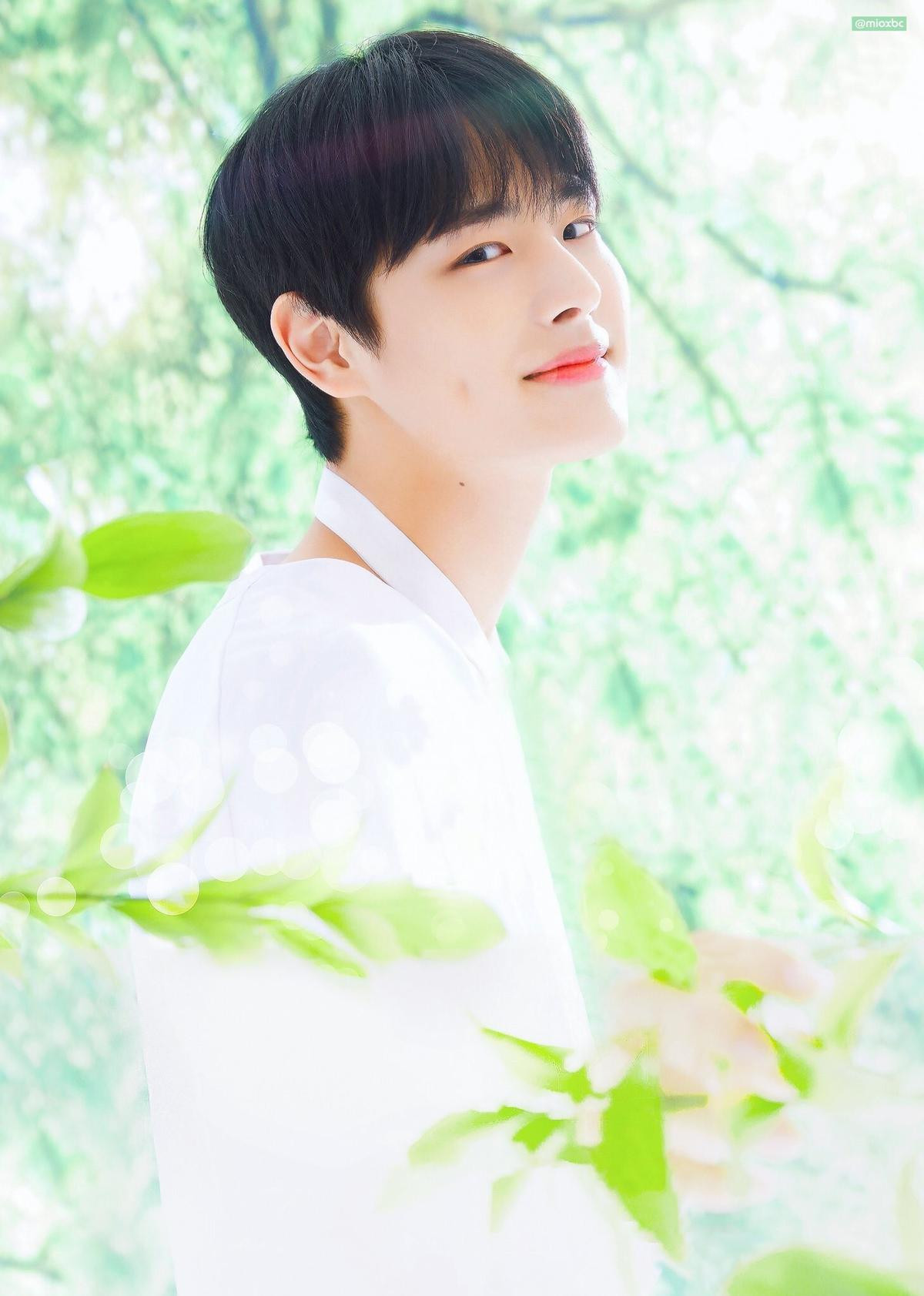 Đột ngột rời khỏi 'Produce X 101', Choi Byung Chan (Victon) đứng đầu BXH tìm kiếm ở Hàn Ảnh 5