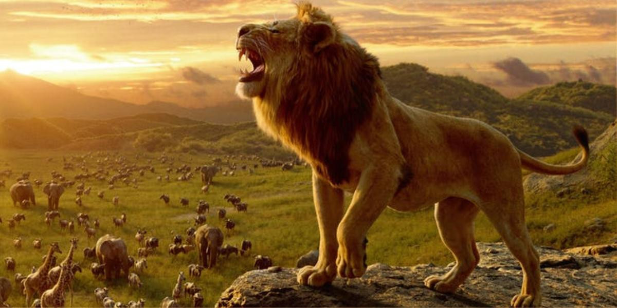 The Lion King bất ngờ nhận đánh giá thấp trên Cà chua thối trước ngày công chiếu chính thức Ảnh 3