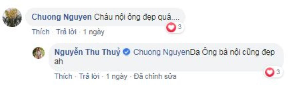 Thu Thủy khoe ảnh con trai, bố chồng bất ngờ vào nhận xét điều này Ảnh 9