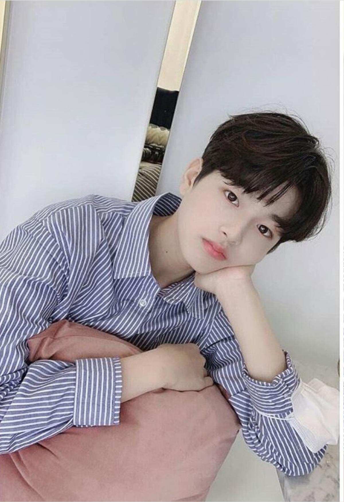 Loại trước vòng chung kết 'Produce X 101', Lee Jin Woo gửi tâm thư: 'Em rất buồn và đau nhói khi nói tạm biệt' Ảnh 1