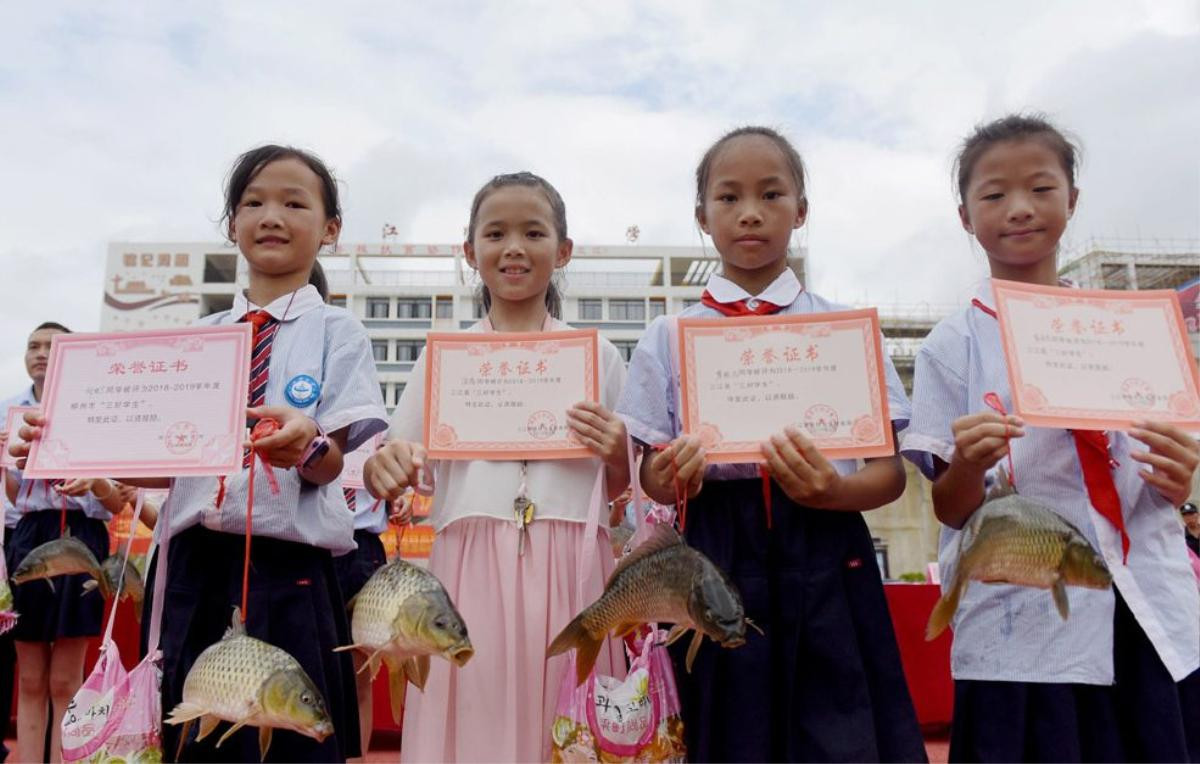 Trường học trao cá chép sống làm phần thưởng cho học sinh xuất sắc gây xôn xao Ảnh 2