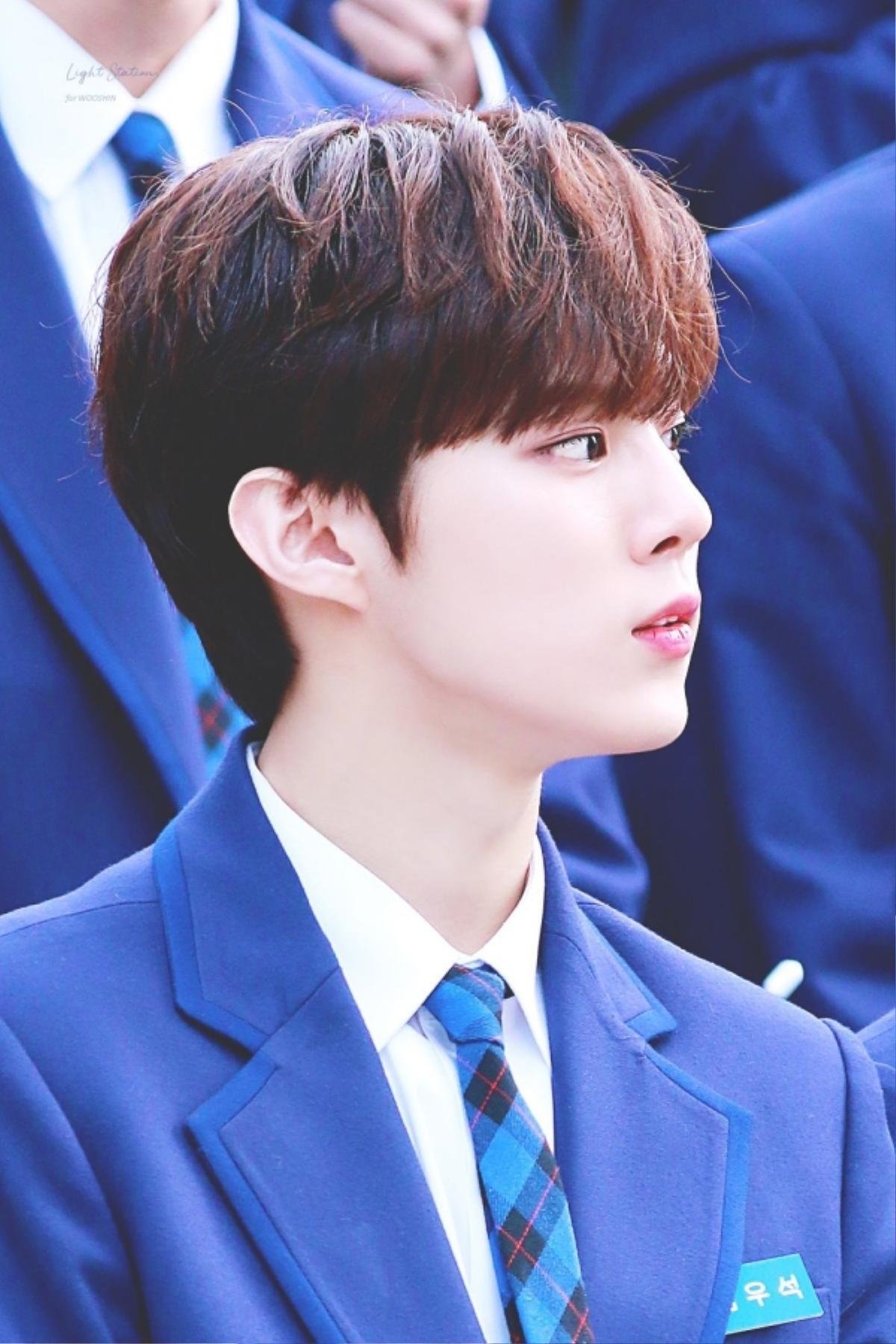 Thêm 1 gương mặt visual được dự đoán chắc suất debut của Produce X 101 - Kim Wooseok Ảnh 15