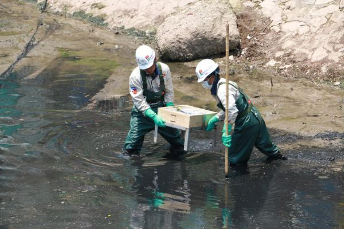 Hà Nội xả nước cuốn trôi toàn bộ kết quả thí nghiệm, chuyên gia Nhật xin hoãn công bố kết quả làm sạch sông Tô Lịch Ảnh 2