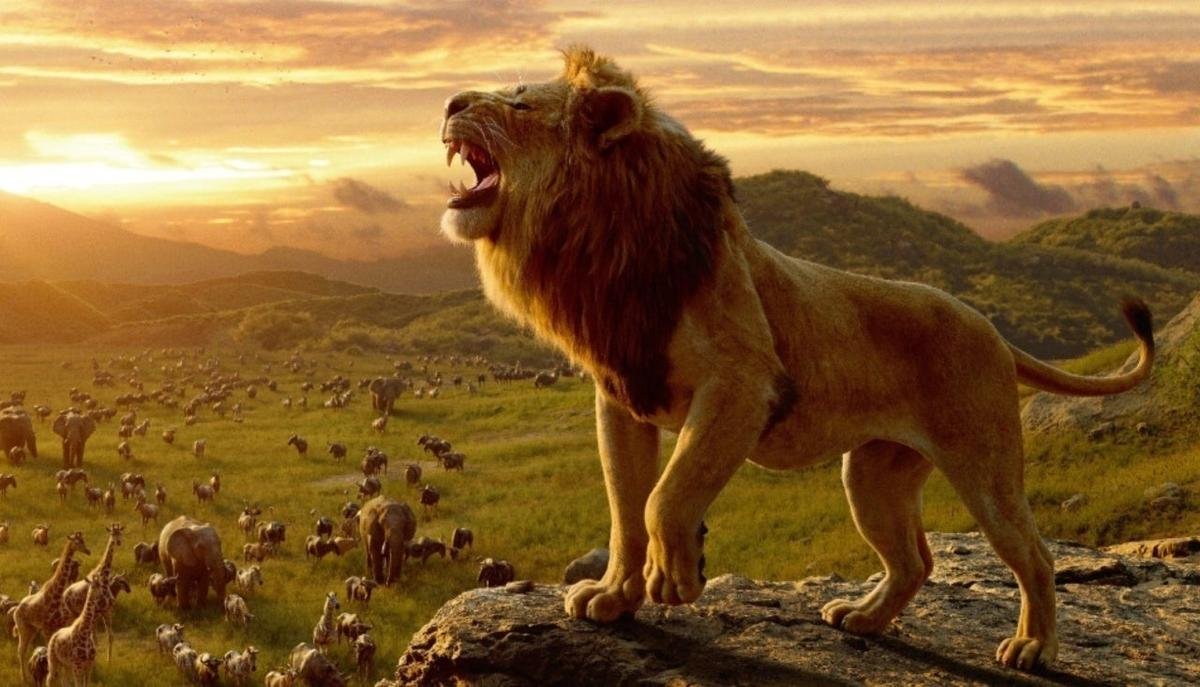 'The Lion King': Sự trở lại đầy ấn tượng mà vẹn nguyên xúc cảm sau 25 năm của Vua Sư Tử Ảnh 6