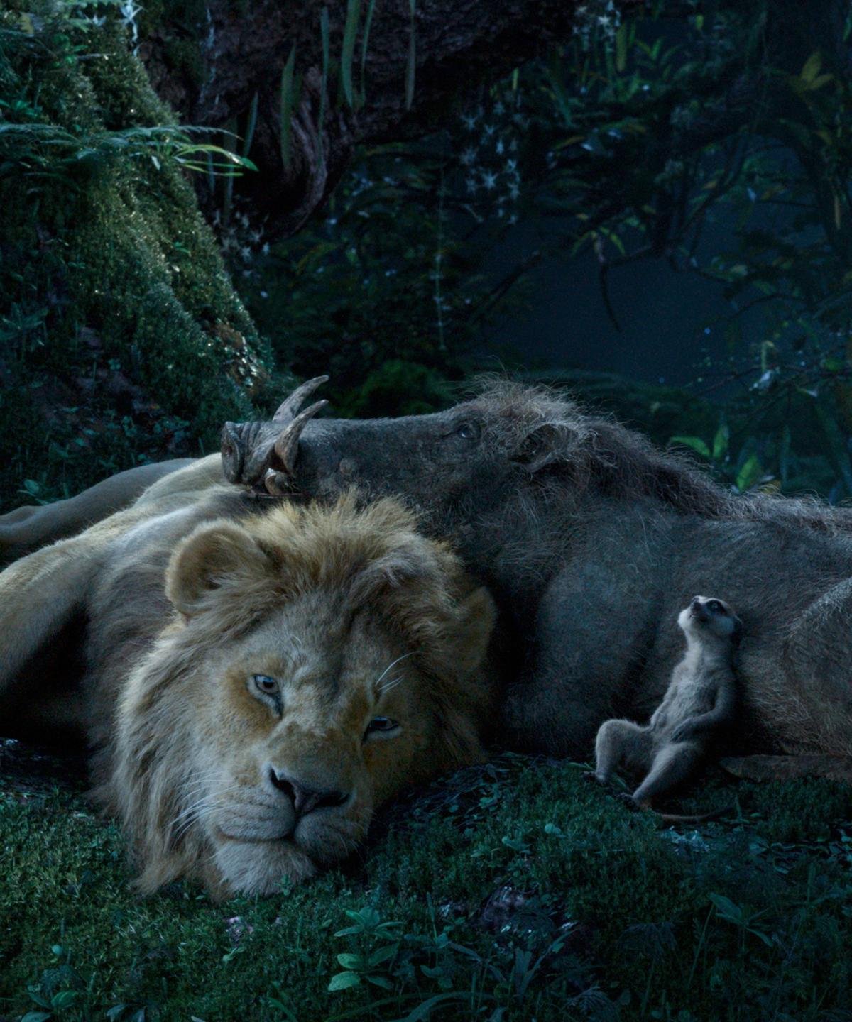 'The Lion King': Sự trở lại đầy ấn tượng mà vẹn nguyên xúc cảm sau 25 năm của Vua Sư Tử Ảnh 9