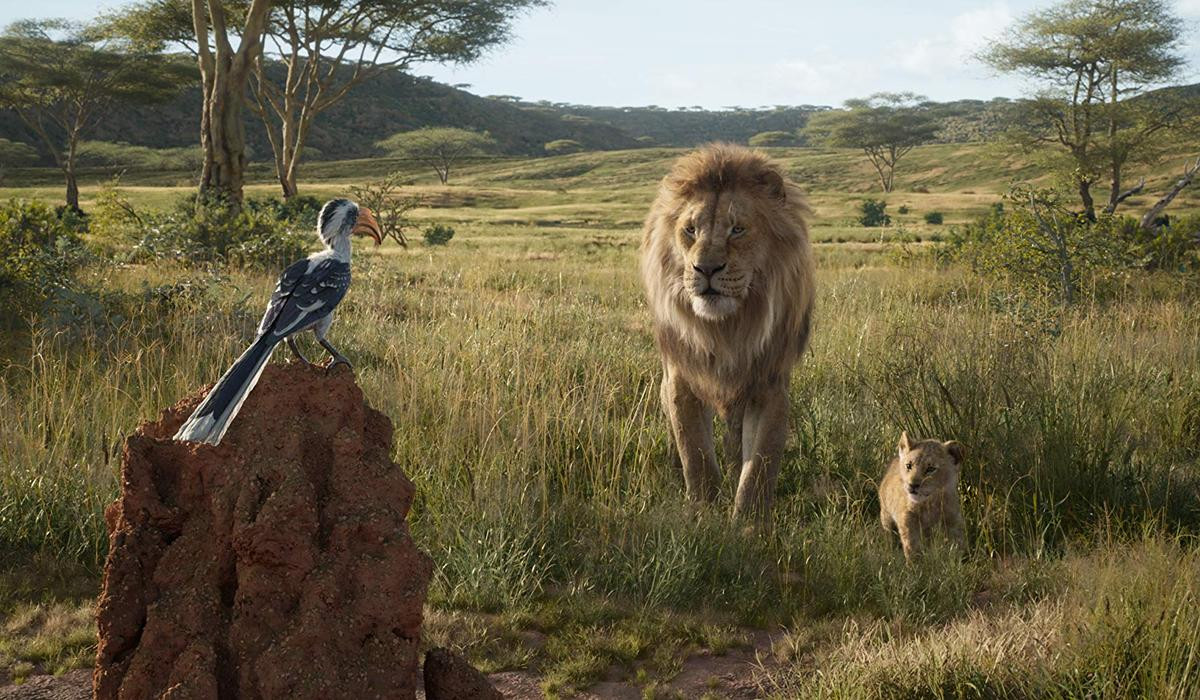 'The Lion King' 2019: Hành trình bi tráng và chân thực bật nhất Ảnh 6