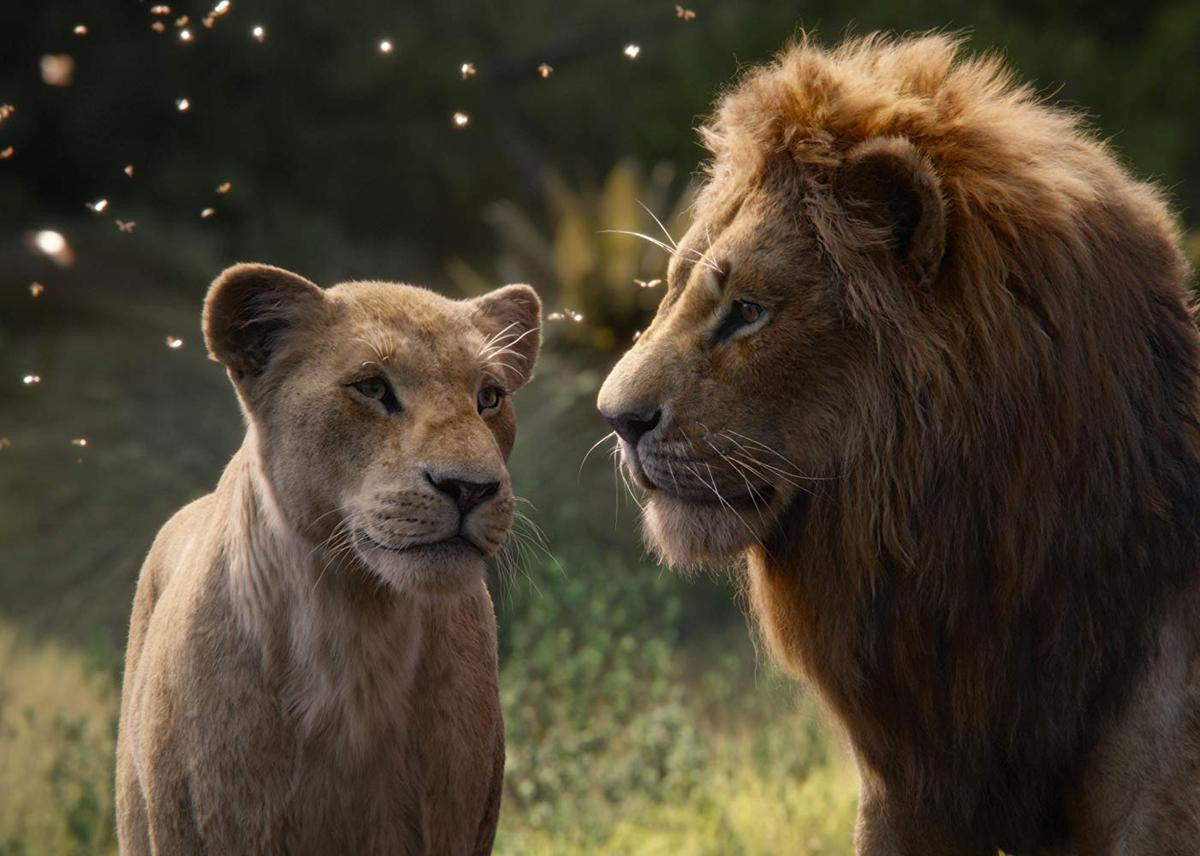 'The Lion King' 2019: Hành trình bi tráng và chân thực bật nhất Ảnh 3