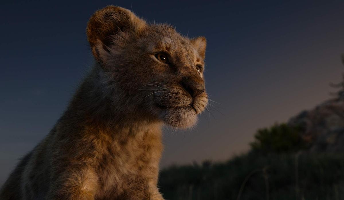 'The Lion King' 2019: Hành trình bi tráng và chân thực bật nhất Ảnh 5