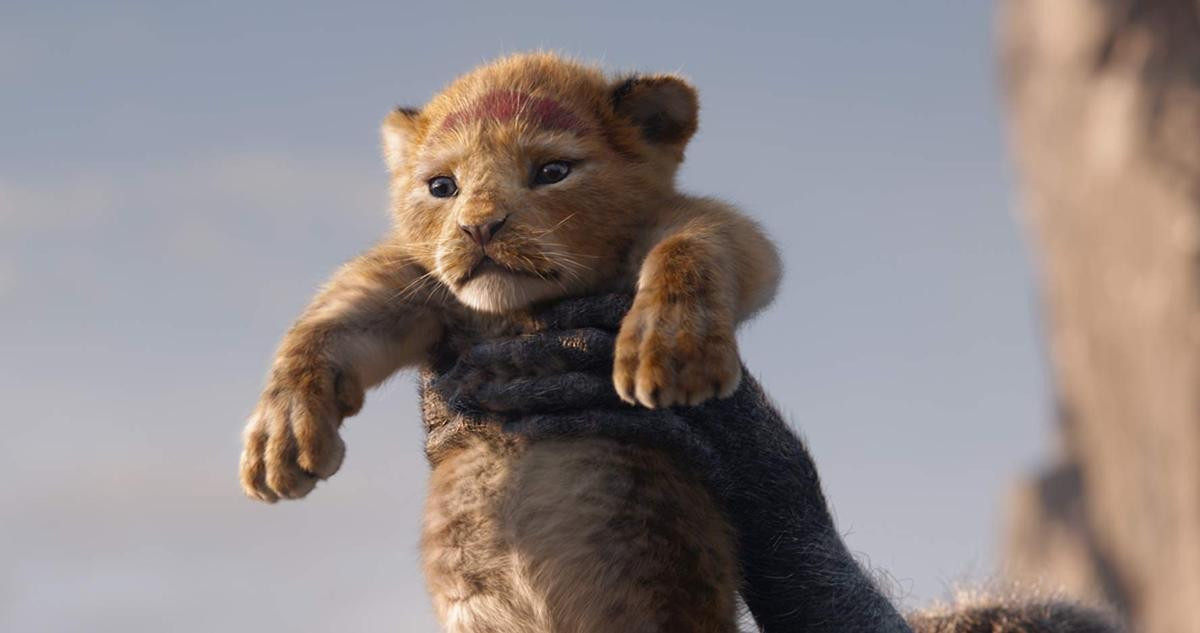 'The Lion King' 2019: Hành trình bi tráng và chân thực bật nhất Ảnh 2