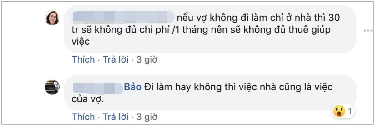 Thanh niên bán bảo hiểm ăn 'gạch đá' từ cư dân mạng vì phát ngôn: 'Việc nhà là việc của vợ' Ảnh 4