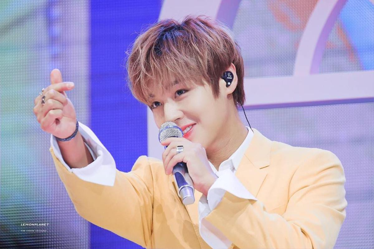 Park Ji Hoon sở hữu khu rừng riêng gần 200 triệu đồng ở Seoul Ảnh 3