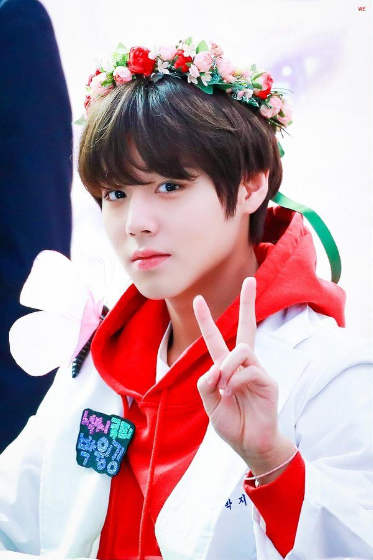 Park Ji Hoon sở hữu khu rừng riêng gần 200 triệu đồng ở Seoul Ảnh 1