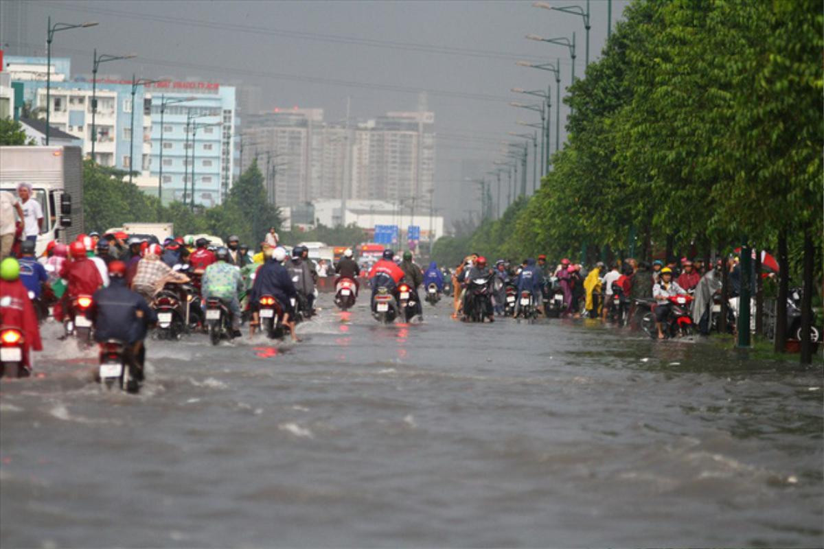 Vì sao nơi cao nhất TPHCM lại thành 'rốn' ngập? Ảnh 6