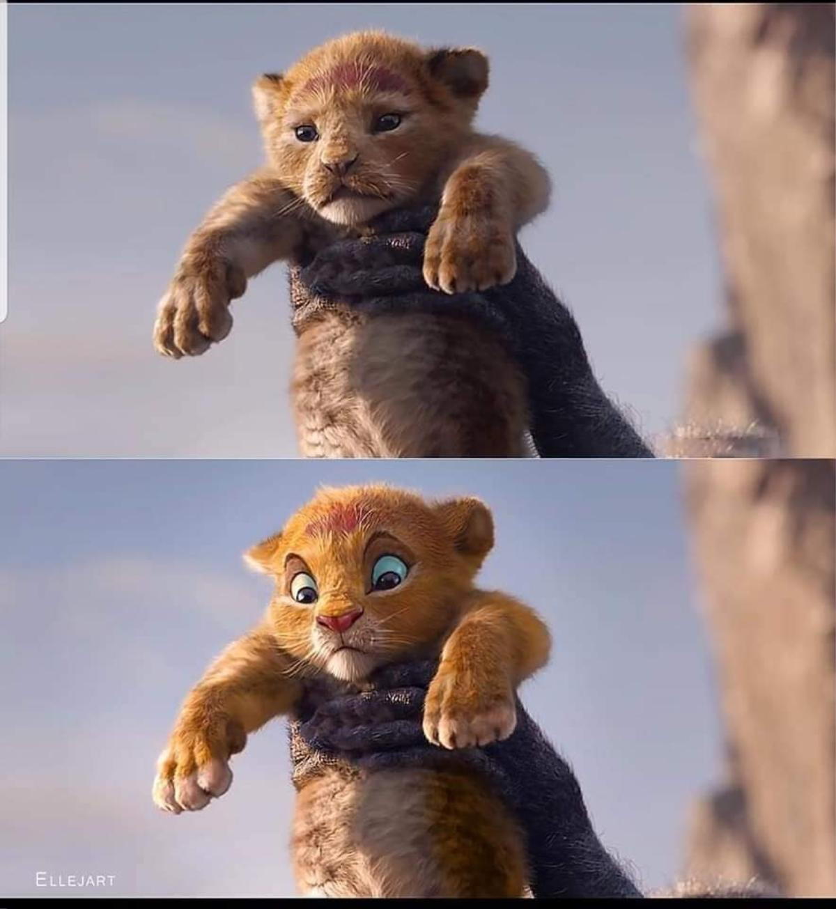 The Lion King: Chê Disney làm giống phim tài liệu thế giới động vật, fan đưa sáng kiến bản live-action Ảnh 1