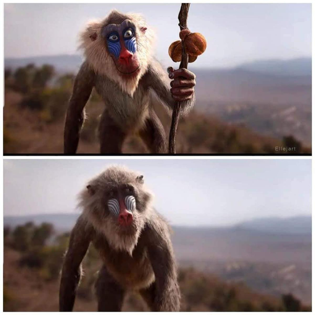 The Lion King: Chê Disney làm giống phim tài liệu thế giới động vật, fan đưa sáng kiến bản live-action Ảnh 3