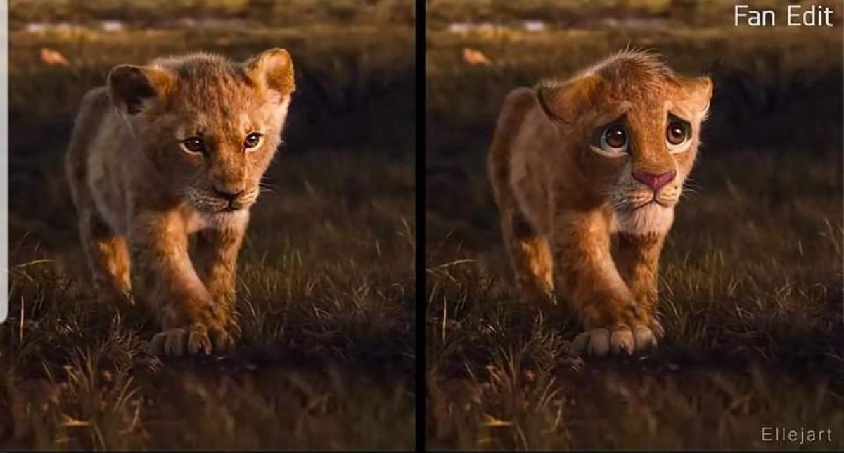 The Lion King: Chê Disney làm giống phim tài liệu thế giới động vật, fan đưa sáng kiến bản live-action Ảnh 7