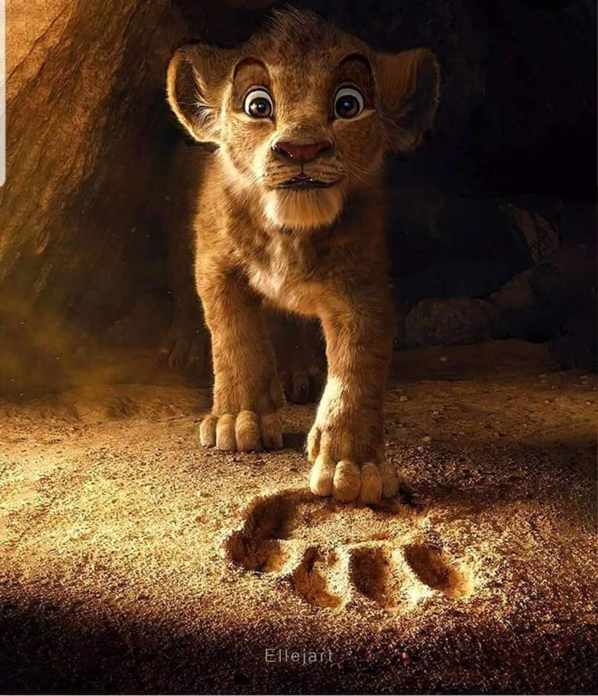 The Lion King: Chê Disney làm giống phim tài liệu thế giới động vật, fan đưa sáng kiến bản live-action Ảnh 2