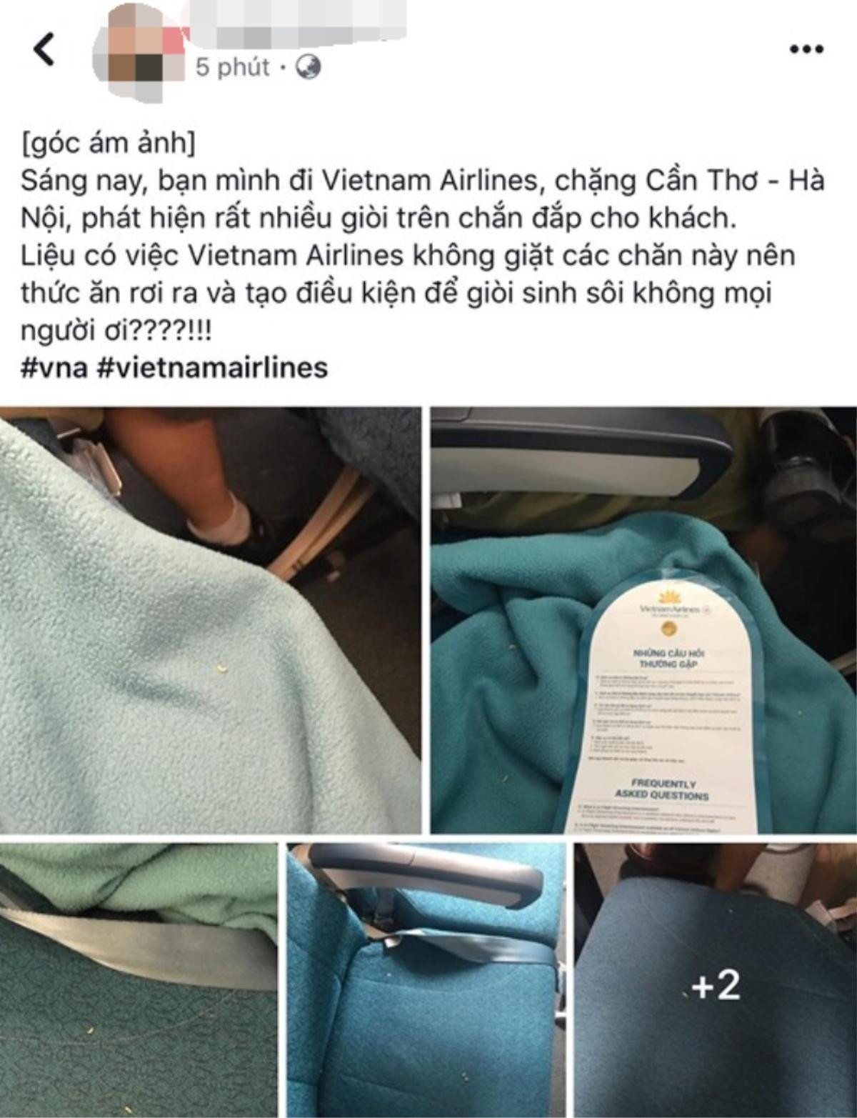 Bị khách phản ánh trong chăn có giòi, hãng hàng không Vietnam Airlines lên tiếng: ‘Chúng tôi đã thu hồi và gửi mẫu vật để xét nghiệm' Ảnh 1